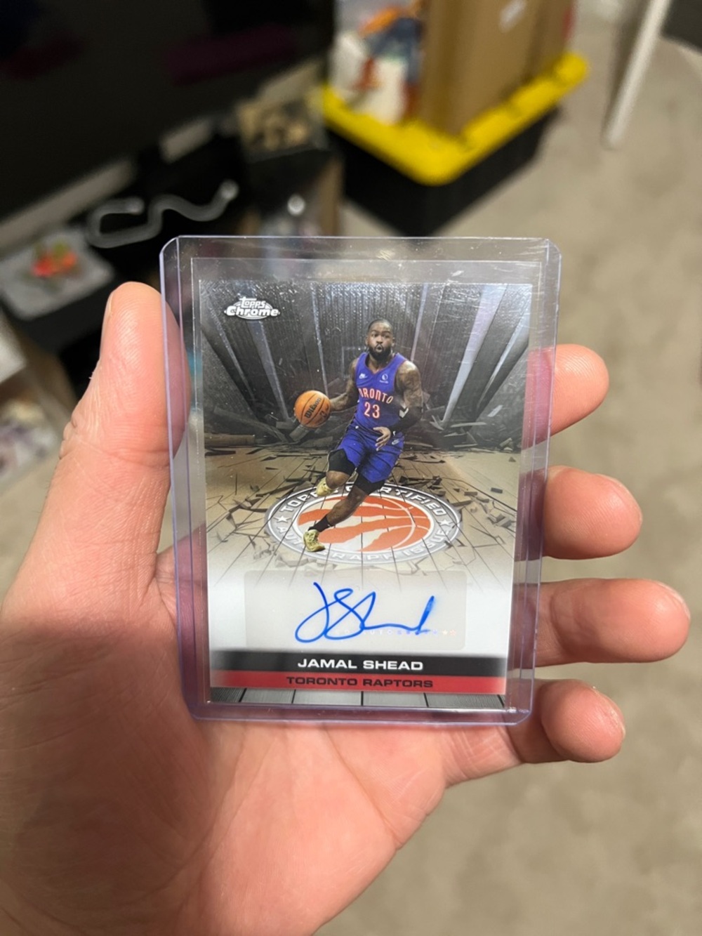 Jamal Shead Toronto Raptors Autograph Rookie Card